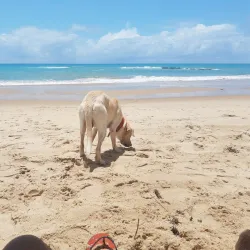 Jacarecica Lagoon - Maceio - Alagoas
