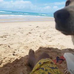 Jacarecica Lagoon - Maceio - Alagoas