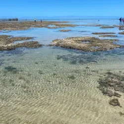 Pajuçara Beach and Natural Pools - Maceio - Alagoas