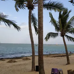 Ponta Verde Beach - Maceio - Alagoas