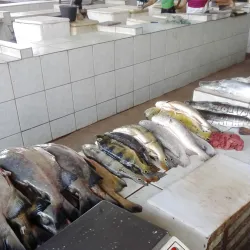 Feira do Produtor Rural - Marabá