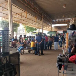 Feira do Produtor Rural - Marabá