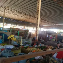 Feira do Produtor Rural - Marabá