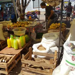 Feira do Produtor Rural - Marabá