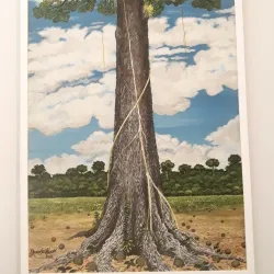 Museu Histórico de Marabá - Marabá