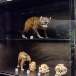 Museu Histórico de Marabá - Marabá