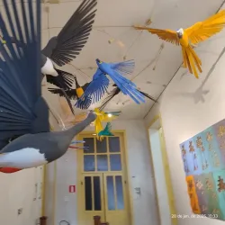 Museu Histórico de Marabá - Marabá