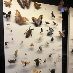 Museu Histórico de Marabá - Marabá