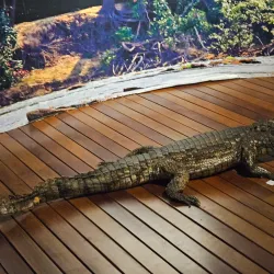 Museu Histórico de Marabá - Marabá