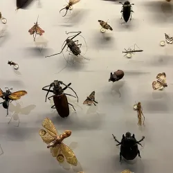 Museu Histórico de Marabá - Marabá