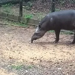 Parque Zoobotânico de Marabá - Marabá