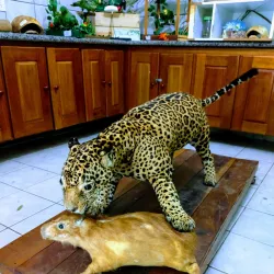 Parque Zoobotânico de Marabá - Marabá