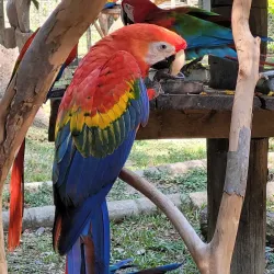 Parque Zoobotânico de Marabá - Marabá