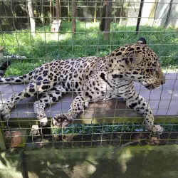 Parque Zoobotânico de Marabá - Marabá