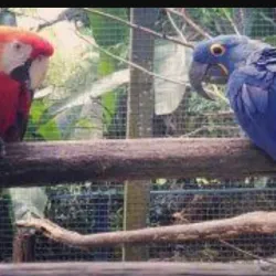 Parque Zoobotânico de Marabá - Marabá