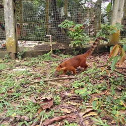 Parque Zoobotânico de Marabá - Marabá