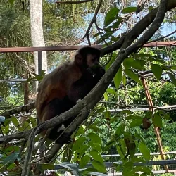 Parque Zoobotânico de Marabá - Marabá