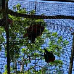 Parque Zoobotânico de Marabá - Marabá