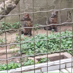 Parque Zoobotânico de Marabá - Marabá