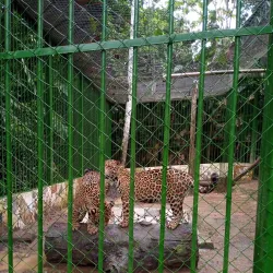 Parque Zoobotânico de Marabá - Marabá