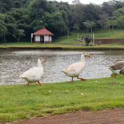 Parque Ambiental - Marechal Cândido Rondon