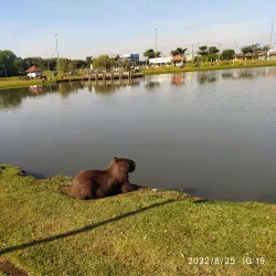 Parque Ambiental - Marechal Cândido Rondon