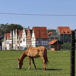 Parque das Palmeiras - Marechal Cândido Rondon