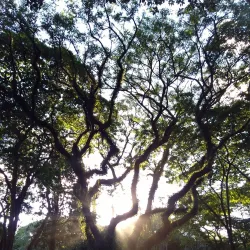 Praça Willy Barth - Marechal Cândido Rondon