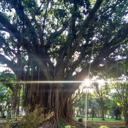 Praça Willy Barth - Marechal Cândido Rondon