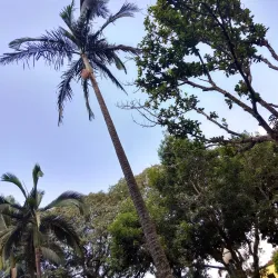 Praça Willy Barth - Marechal Cândido Rondon