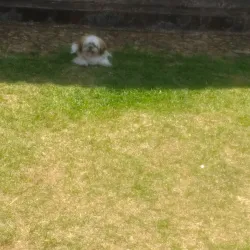 Praça Minas Gerais - Mariana