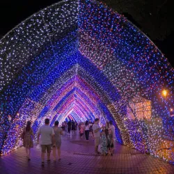 Catedral Basílica Menor Nossa Senhora da Glória - Maringa