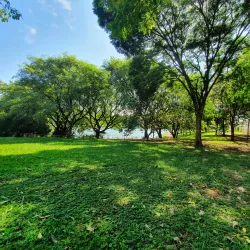 Parque Alfredo Nyffeler - Maringa