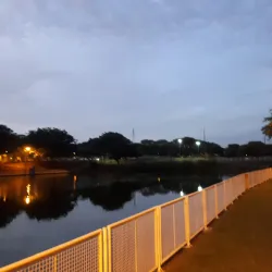 Parque Alfredo Nyffeler - Maringa