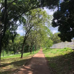 Parque Alfredo Nyffeler - Maringa