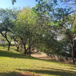 Parque Alfredo Nyffeler - Maringa