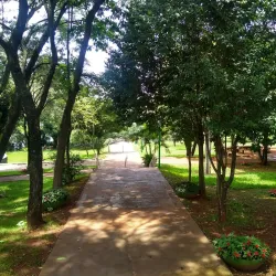 Parque Alfredo Nyffeler - Maringa