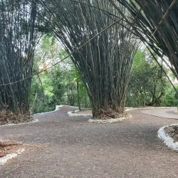 Parque do Ingá - Maringa