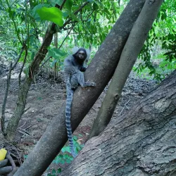 Parque do Ingá - Maringa