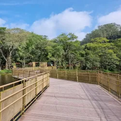 Parque Ecológico do Pedroso - Mauá (Maua)
