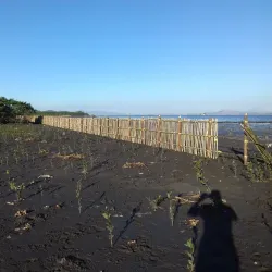 Parque Municipal de Mauá - Mauá (Maua)