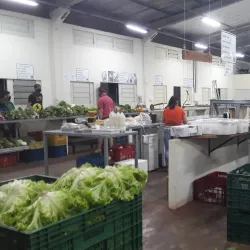 Feira do Produtor Rural - Medianeira