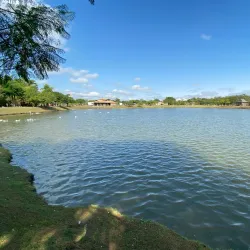 Parque Centenário - Mogi Mirim
