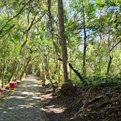 Parque Centenário - Mogi Mirim