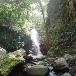 Monte Verde Waterfalls - Monte Verde