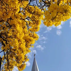 Catedral Metropolitana de Montes Claros - Montes Claros