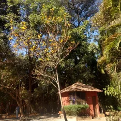 Parque da Matinha - Montes Claros