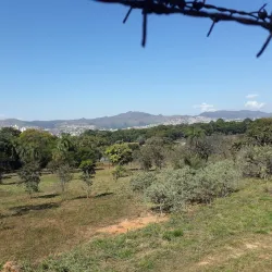 Parque da Matinha - Montes Claros
