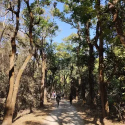 Parque Municipal da Lagoa Grande - Montes Claros