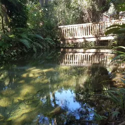 Parque Municipal da Lagoa Grande - Montes Claros